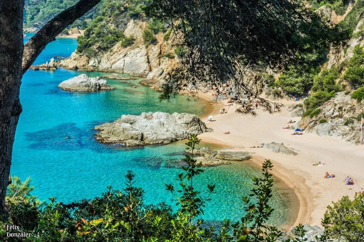 Al11 Apartamento Albert Lloret de Mar Spain
